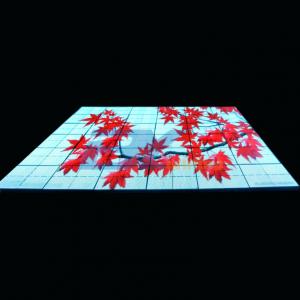 BY-D723 Led Video Dance Floor